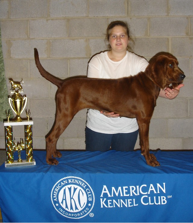 Redcoon Hounds